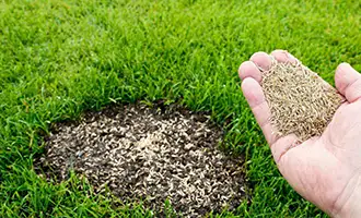 The best time to aerate and seed your lawn