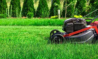 Aeration Lawn | he Importance of Aerating Your Lawn