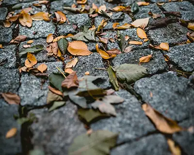 Why You Should Invest In Paver Patio